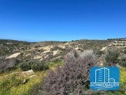 Pitsidia Kreta, Pitsidia: Grundstück am Ortsrand zu verkaufen Grundstück kaufen